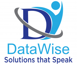 Data_wise_Logo